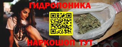 гидра Владимир